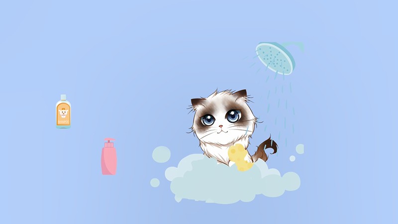 猫咪多久洗一次澡