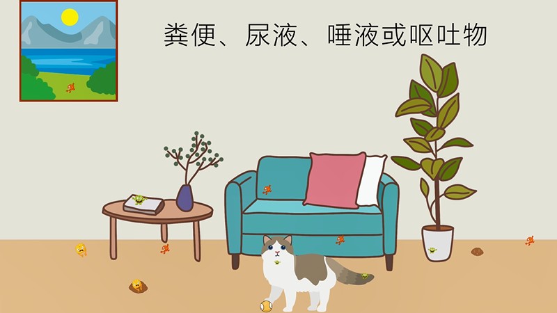 猫瘟是怎么引起的