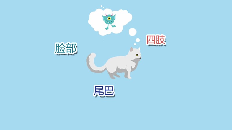 猫藓初期是什么样子的