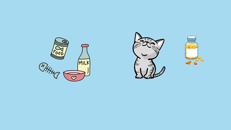 猫咪拉肚子怎么办