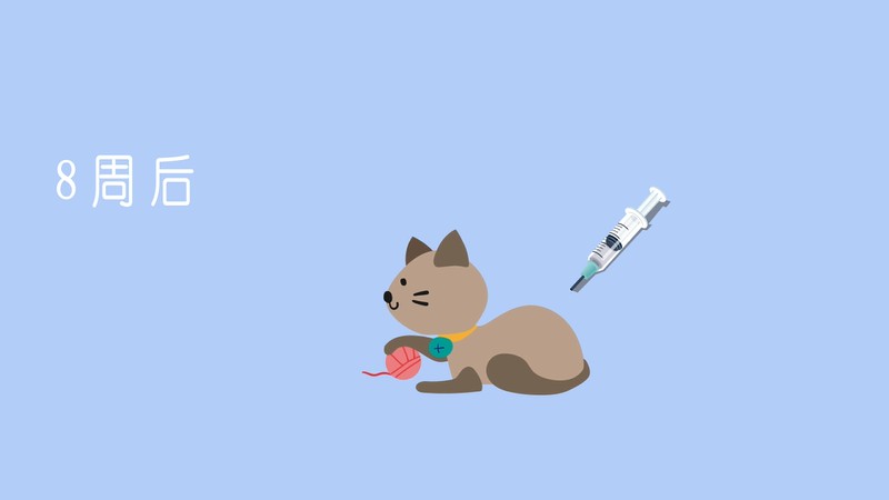 小猫什么时候打疫苗