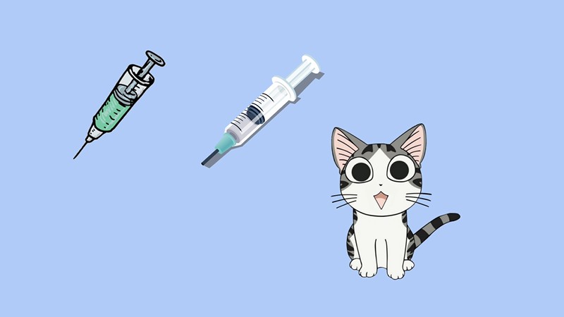 猫需要打什么疫苗