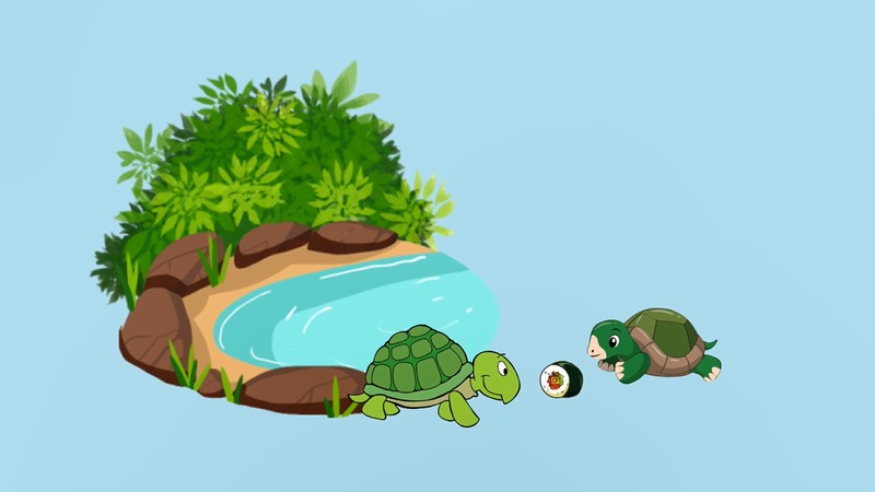 小巴西龟不吃东西怎么办