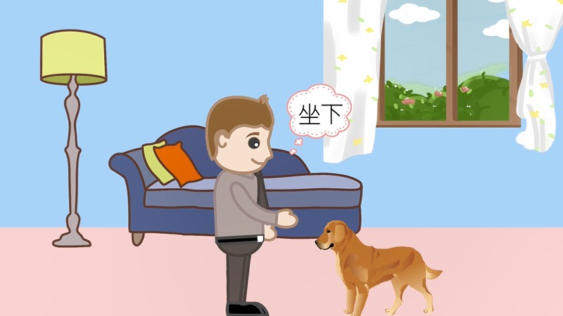 如何训练金毛犬