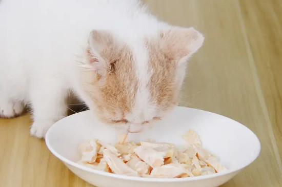 猫吃鸡胸肉的好处