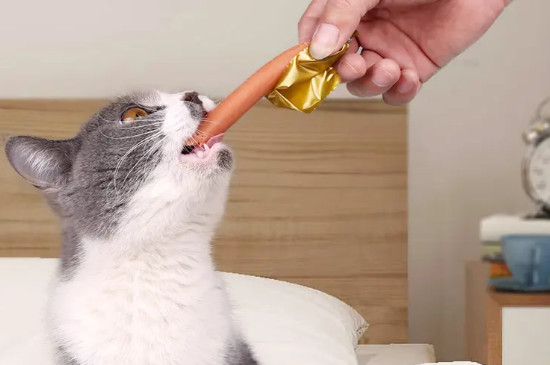 猫咪可以吃火腿肠吗